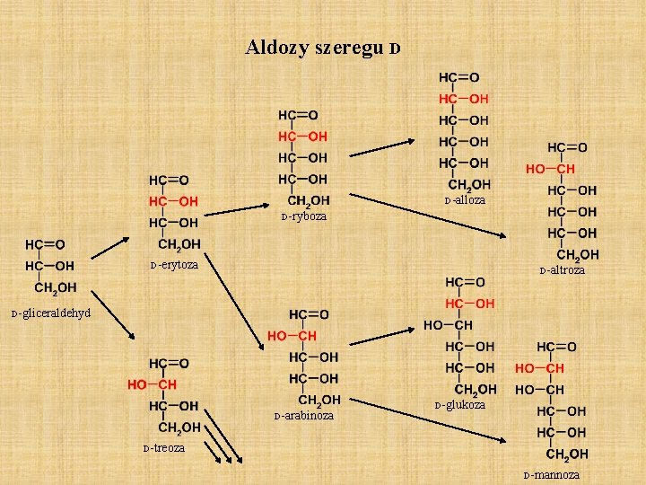 Aldozy szeregu D D-alloza D-ryboza D-erytoza D-altroza D-gliceraldehyd D-arabinoza D-glukoza D-treoza D-mannoza 