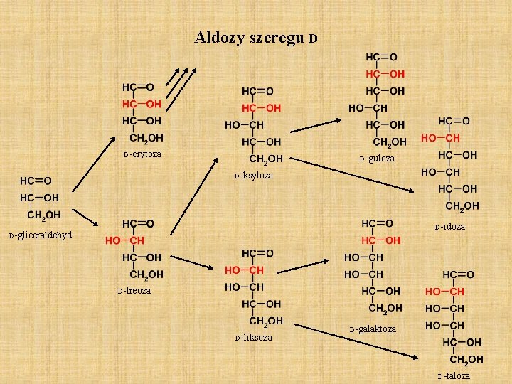 Aldozy szeregu D D-erytoza D-guloza D-ksyloza D-idoza D-gliceraldehyd D-treoza D-liksoza D-galaktoza D-taloza 