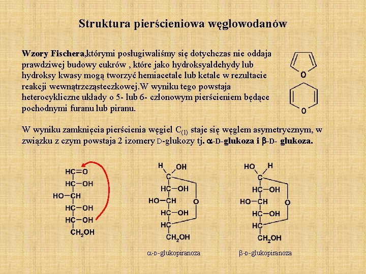 Struktura pierścieniowa węglowodanów Wzory Fischera, którymi posługiwaliśmy się dotychczas nie oddaja prawdziwej budowy cukrów