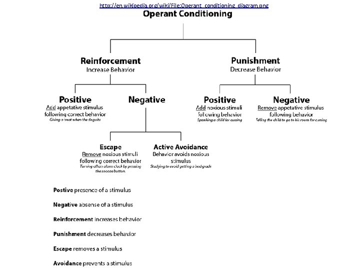 http: //en. wikipedia. org/wiki/File: Operant_conditioning_diagram. png 