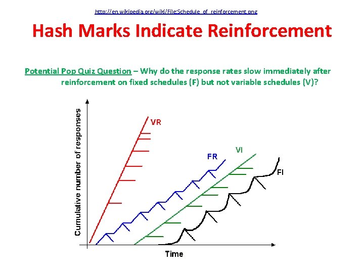 http: //en. wikipedia. org/wiki/File: Schedule_of_reinforcement. png Hash Marks Indicate Reinforcement Potential Pop Quiz Question