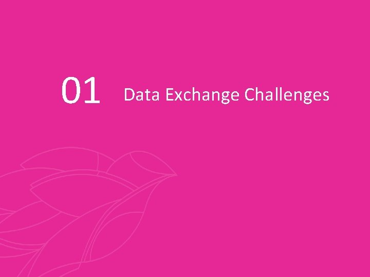 01 Data Exchange Challenges 