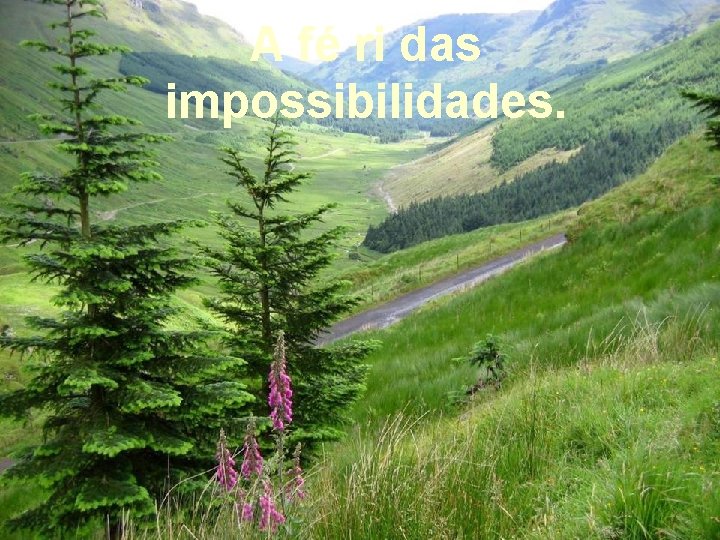 A fé ri das impossibilidades. 