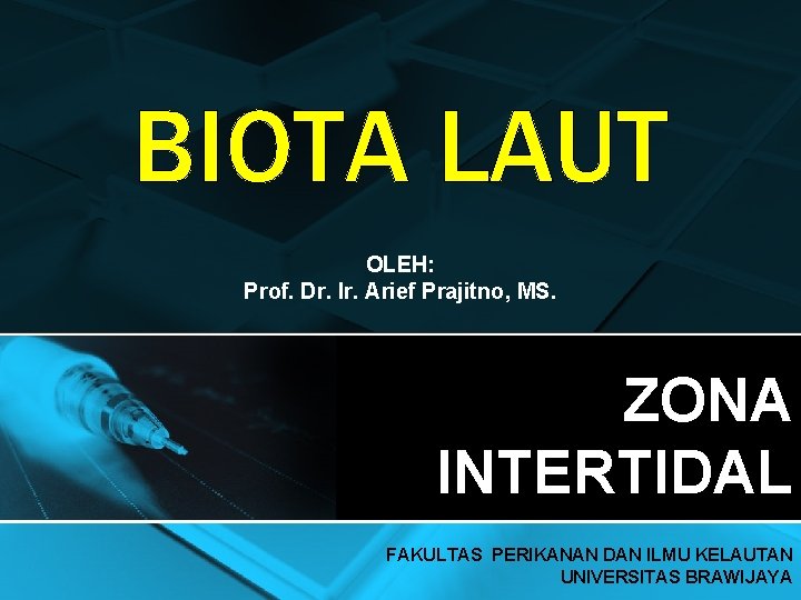 BIOTA LAUT OLEH: Prof. Dr. Ir. Arief Prajitno, MS. ZONA INTERTIDAL FAKULTAS PERIKANAN DAN