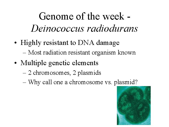 Genome of the week Deinococcus radiodurans • Highly resistant to DNA damage – Most