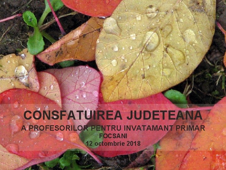 CONSFATUIREA JUDETEANA A PROFESORILOR PENTRU INVATAMANT PRIMAR FOCSANI 12 octombrie 2018 