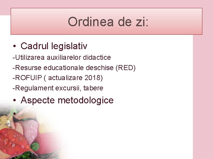  Ordinea de zi: • Cadrul legislativ -Utilizarea auxiliarelor didactice -Resurse educationale deschise (RED)