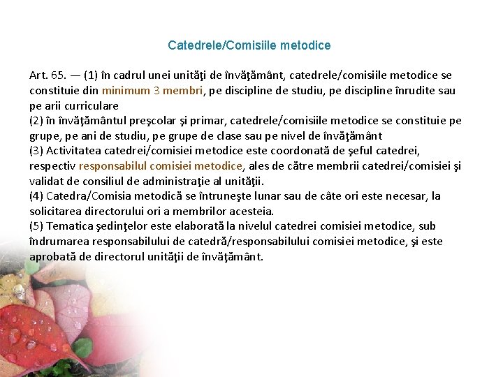 Catedrele/Comisiile metodice Art. 65. — (1) în cadrul unei unităţi de învăţământ, catedrele/comisiile metodice