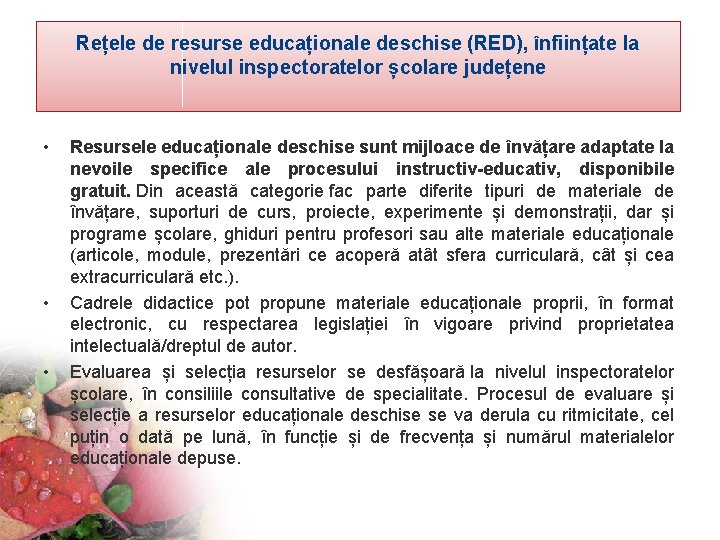 Rețele de resurse educaționale deschise (RED), înființate la nivelul inspectoratelor școlare județene • •