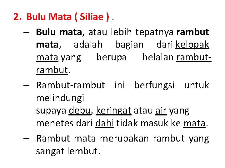 2. Bulu Mata ( Siliae ). – Bulu mata, atau lebih tepatnya rambut mata,