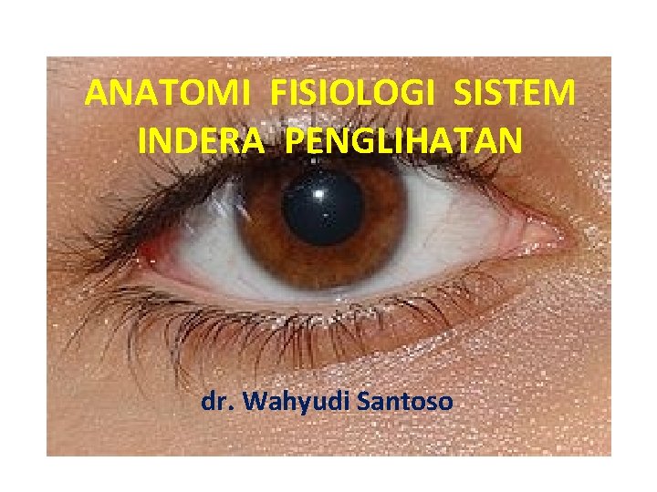 ANATOMI FISIOLOGI SISTEM INDERA PENGLIHATAN dr. Wahyudi Santoso 