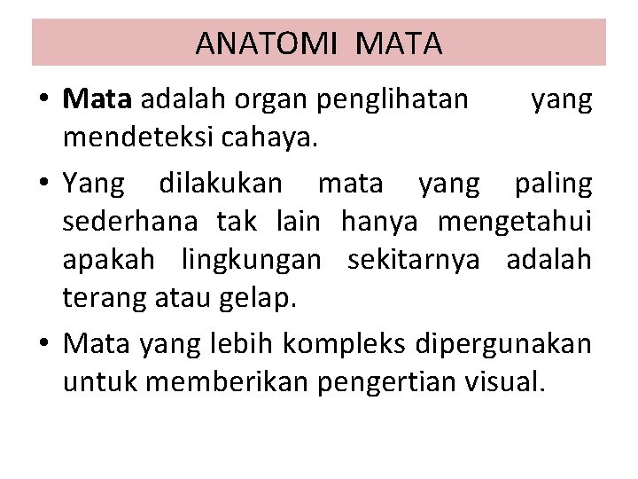 ANATOMI MATA • Mata adalah organ penglihatan yang mendeteksi cahaya. • Yang dilakukan mata