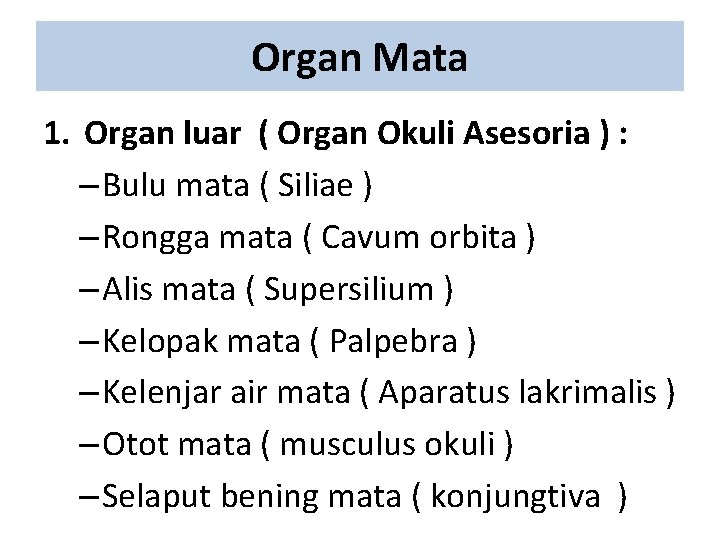 Organ Mata 1. Organ luar ( Organ Okuli Asesoria ) : – Bulu mata