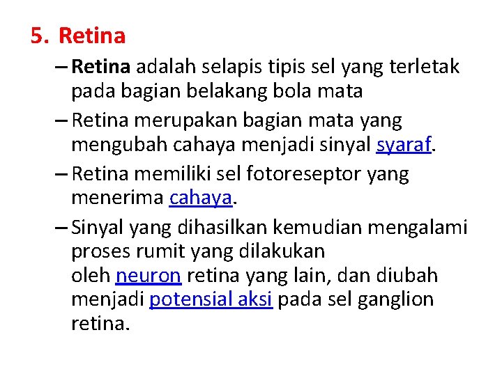5. Retina – Retina adalah selapis tipis sel yang terletak pada bagian belakang bola