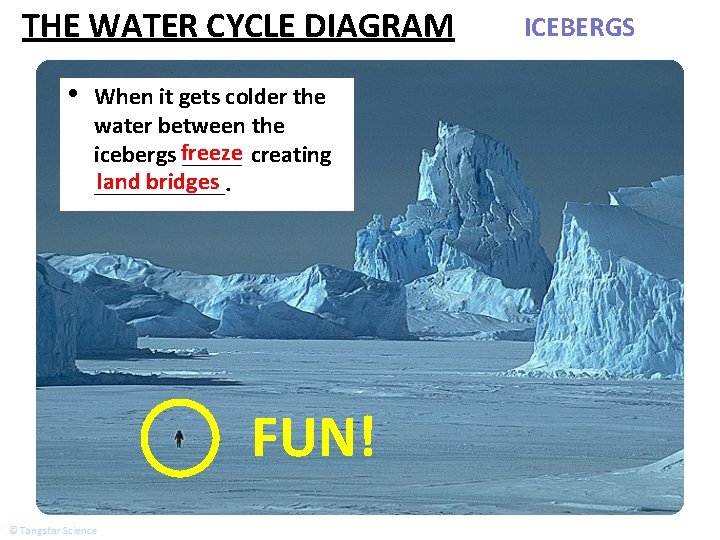 THE WATER CYCLE DIAGRAM • When it gets colder the water between the icebergs