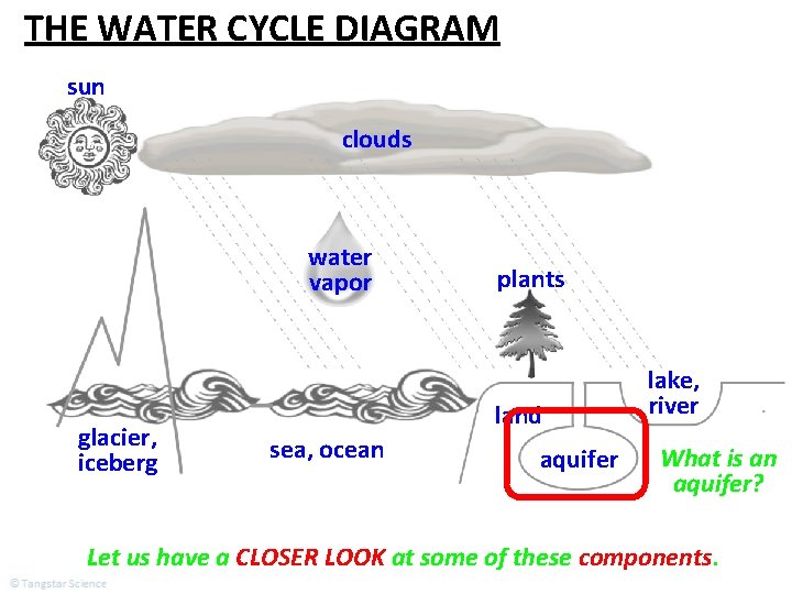 THE WATER CYCLE DIAGRAM sun clouds water vapor glacier, iceberg plants land sea, ocean