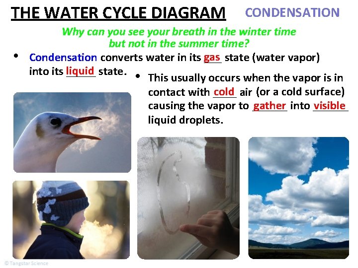 THE WATER CYCLE DIAGRAM • CONDENSATION Why can you see your breath in the