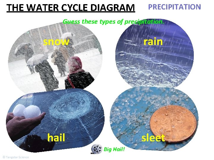 THE WATER CYCLE DIAGRAM PRECIPITATION Guess these types of precipitation. snow rain hail sleet