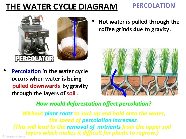 THE WATER CYCLE DIAGRAM • • PERCOLATION Hot water is pulled through the coffee THE WATER CYCLE DIAGRAM • • PERCOLATION Hot water is pulled through the coffee