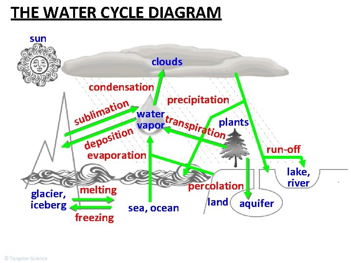 THE WATER CYCLE DIAGRAM sun clouds condensation precipitation n o i t a watertr