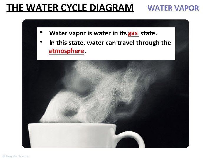 THE WATER CYCLE DIAGRAM • WATER VAPOR Water vapor is water in its gas