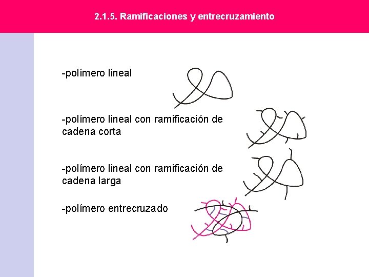 2. 1. 5. Ramificaciones y entrecruzamiento -polímero lineal con ramificación de cadena corta -polímero 2. 1. 5. Ramificaciones y entrecruzamiento -polímero lineal con ramificación de cadena corta -polímero