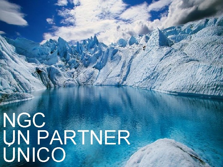 NGC UN PARTNER ÚNICO 