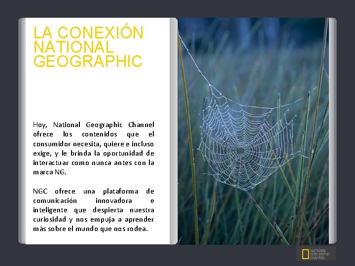 LA CONEXIÓN NATIONAL GEOGRAPHIC ENRIQUECEMOS Y CAPACITAMOS A LOS CONSUMIDORES DE HOY Hoy, National