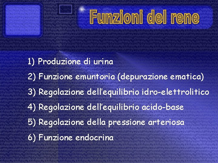 1) Produzione di urina 2) Funzione emuntoria (depurazione ematica) 3) Regolazione dell’equilibrio idro-elettrolitico 4)