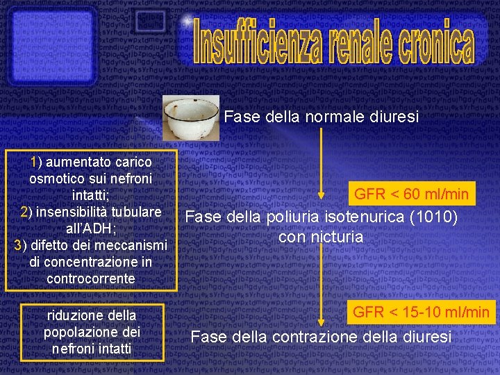 Fase della normale diuresi 1) aumentato carico osmotico sui nefroni intatti; 2) insensibilità tubulare