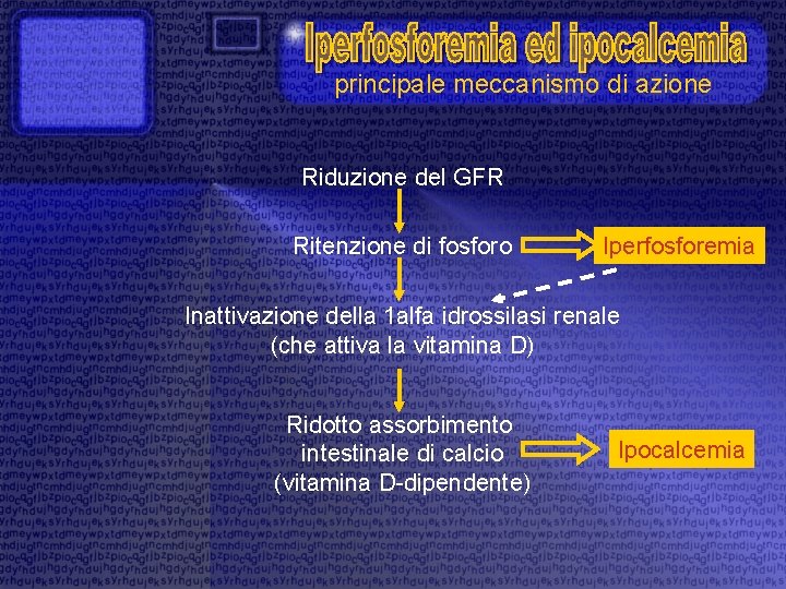 principale meccanismo di azione Riduzione del GFR Ritenzione di fosforo Iperfosforemia Inattivazione della 1