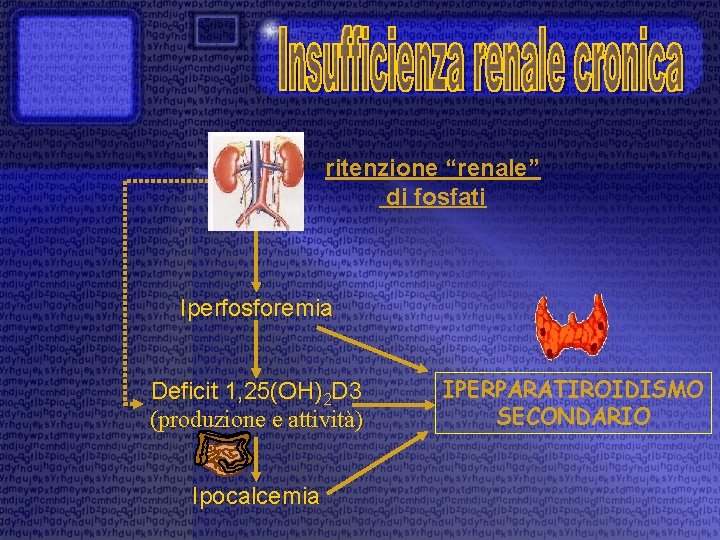 ritenzione “renale” di fosfati Iperfosforemia Deficit 1, 25(OH)2 D 3 (produzione e attività) Ipocalcemia