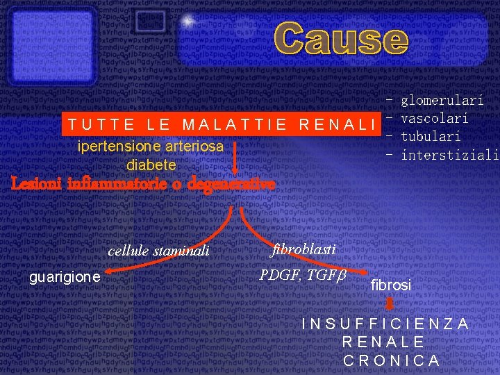 TUTTE LE MALATTIE RENALI ipertensione arteriosa diabete glomerulari vascolari tubulari interstiziali Lesioni infiammatorie o