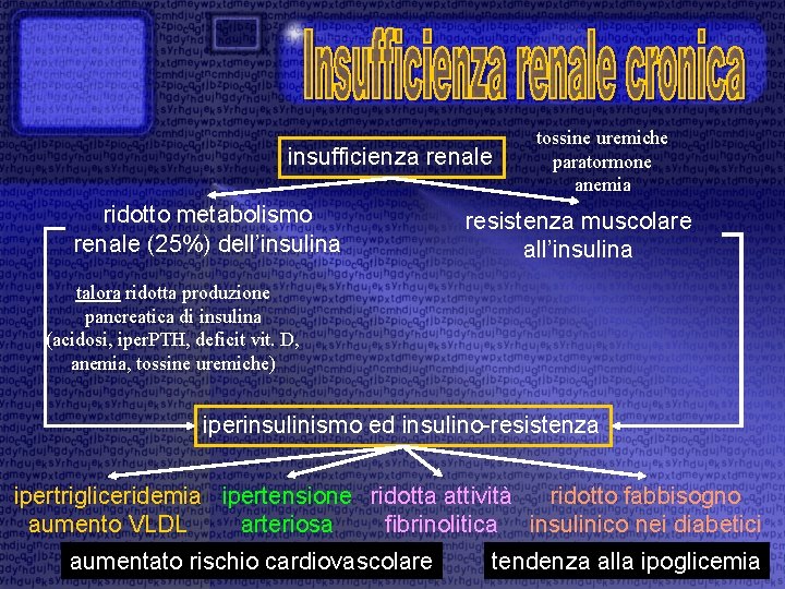 insufficienza renale ridotto metabolismo renale (25%) dell’insulina tossine uremiche paratormone anemia resistenza muscolare all’insulina