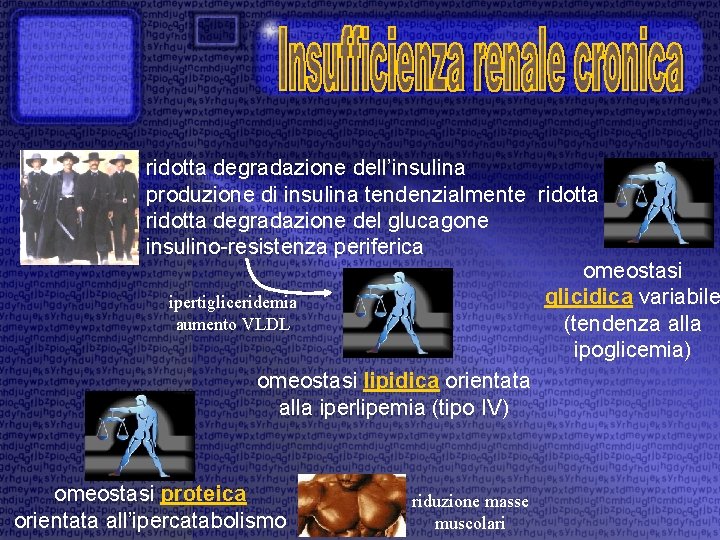 ridotta degradazione dell’insulina produzione di insulina tendenzialmente ridotta degradazione del glucagone insulino-resistenza periferica omeostasi