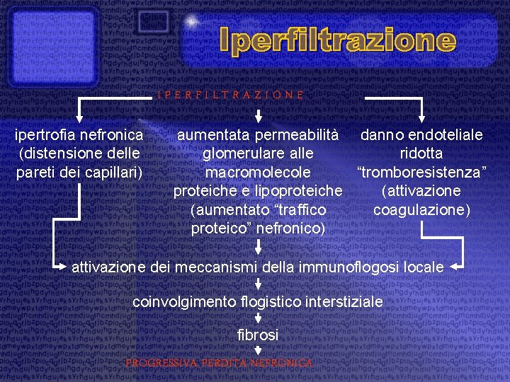 IPERFILTRAZIONE ipertrofia nefronica (distensione delle pareti dei capillari) aumentata permeabilità danno endoteliale glomerulare alle