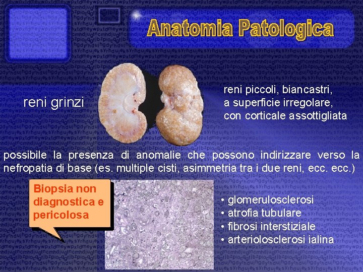 reni grinzi reni piccoli, biancastri, a superficie irregolare, con corticale assottigliata possibile la presenza