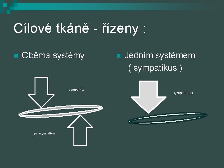 Cílové tkáně - řízeny : n Oběma systémy sympatikus parasympatikus Jedním systémem ( sympatikus