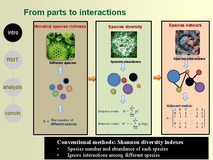 From parts to interactions Microbial species richness Species diversity Species network intro RMT Species