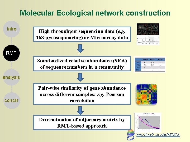 Molecular Ecological network construction intro High throughput sequencing data (e. g. 16 S pyrosequencing)