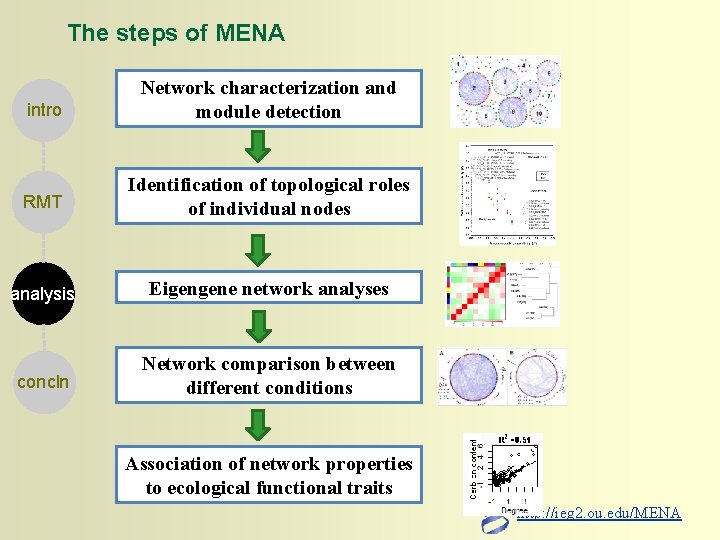 The steps of MENA intro Network characterization and module detection RMT Identification of topological