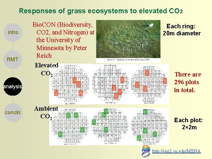 Responses of grass ecosystems to elevated CO 2 intro RMT Bio. CON (Biodiversity, CO