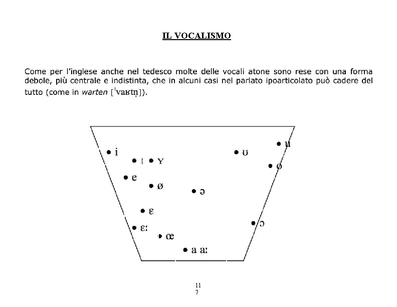 IL VOCALISMO 11 7 