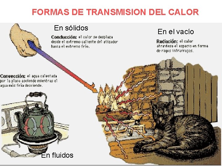 FORMAS DE TRANSMISION DEL CALOR En sólidos En fluidos En el vacío 