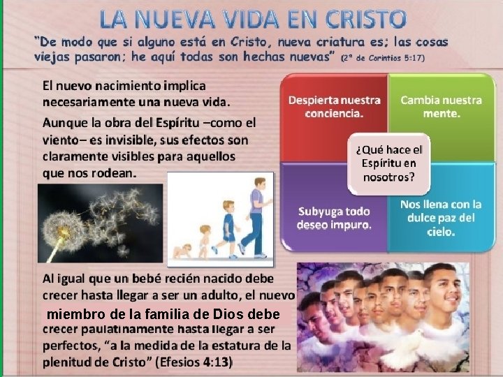 La Regeneracion Nuevo Nacimiento La Regeneracin Y El