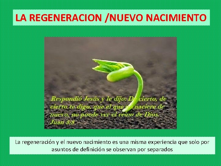 LA REGENERACION /NUEVO NACIMIENTO La regeneración y el nuevo nacimiento es una misma experiencia