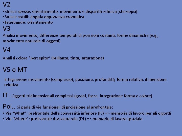 V 2 • Strisce spesse: orientamento, movimento e disparità retinica (stereopsi) • Strisce sottili: