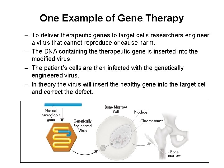 One Example of Gene Therapy – To deliver therapeutic genes to target cells researchers