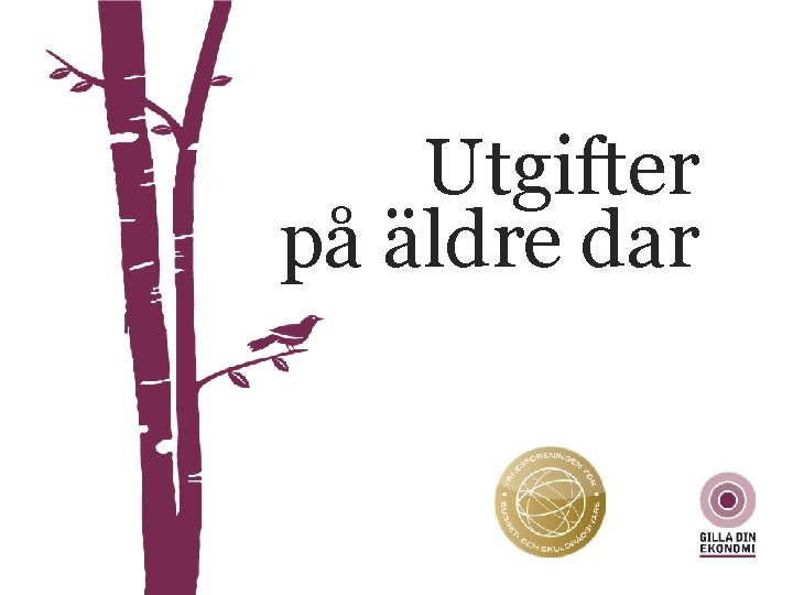 Utgifter på äldre dar 