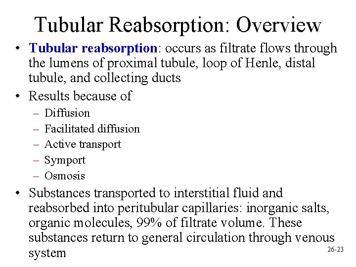 Tubular Reabsorption: Overview • Tubular reabsorption: occurs as filtrate flows through the lumens of